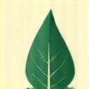 Leaf icon, representing eco-friendly practices and sustainability